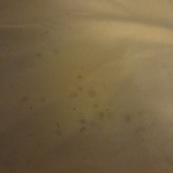 Burberry Yellow Polo with Plaid Sleeves - Picture 10 of 15